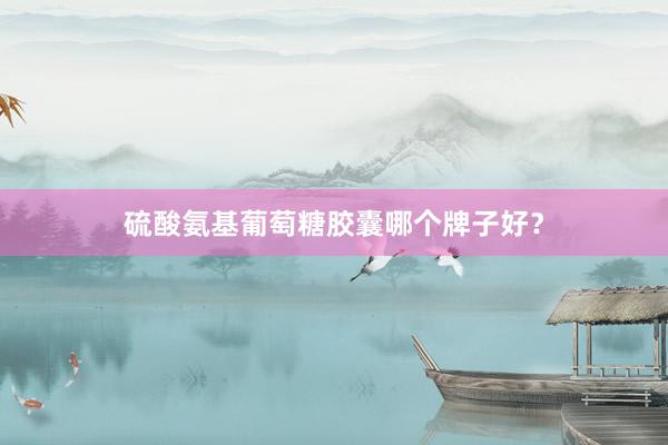 硫酸氨基葡萄糖胶囊哪个牌子好？